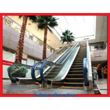 30 Degree 800mm/1000mm Outdoor Commercial Passenger Escalator